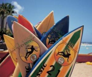 yapboz Surfboards kum plajda yaz
